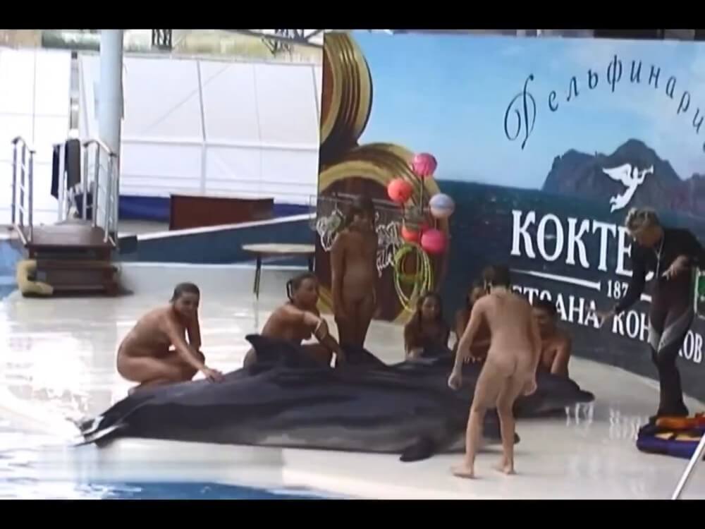 Relaxing at the dolphinarium - Naturism and nudism